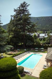 einen Pool mit Liegestühlen und einem Baum in der Unterkunft Grand Hôtel du Parc in Florac Trois Riviere