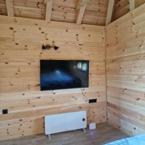 Zimmer mit einem TV an einer Holzwand in der Unterkunft Bosaca in Žabljak