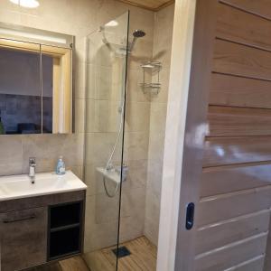 a bathroom with a shower and a sink at Bosaca in Žabljak
