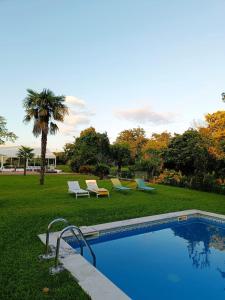 a swimming pool with lounge chairs and a palm tree at Quinta da Maínha - Charming Houses in Braga