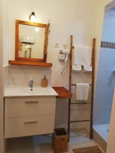 y baño con lavabo, espejo y ducha. en Studio 19 cosy avec jacuzzi et jardinet privatifs en Draguignan