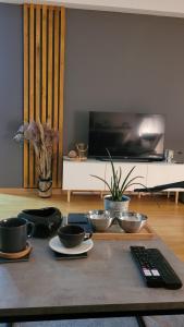 A television and/or entertainment centre at Apartman Riva