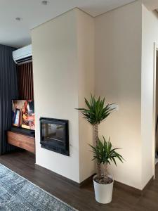 un soggiorno con TV e pianta di Casas da Veiga a Braga