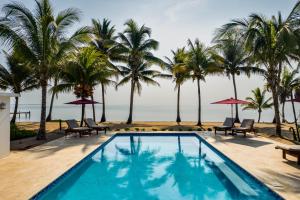 una piscina con palmeras y el océano en Coconut Row Boutique Hotel en Hopkins