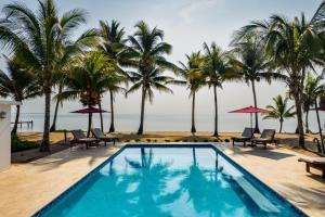 una piscina con palmeras y el océano en Coconut Row Boutique Hotel, en Hopkins