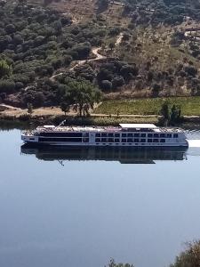 a cruise ship on the water with a hill in the background at Bragança Holiday Home new apartment with 2 bedrooms private parking in Bragança +28 photos
