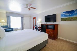 ein Hotelzimmer mit einem Bett und einem Flachbild-TV in der Unterkunft Best Western Heritage Inn in Bakersfield