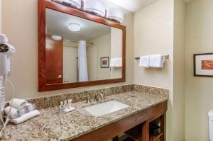 a bathroom with a sink and a large mirror at Comfort Inn & Suites Christiansburg I-81 in Christiansburg