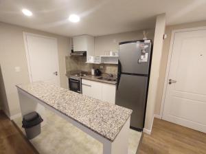 Kuchyň nebo kuchyňský kout v ubytování DEPARTAMENTO BELGRANO