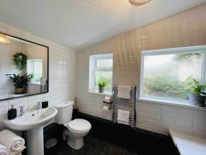 een badkamer met een wastafel, een toilet en een raam bij STANLEY HOUSE 3 bed period house in Heritage Town - Brecon Beacons in Blaenavon