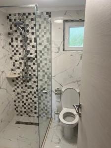 a bathroom with a toilet and a glass shower at Studio Elena in Tivat +12 photos