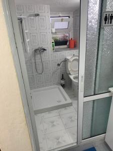 a small bathroom with a toilet and a shower at Tradicional Bazaar Home in Korçë