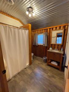 ein Bad mit einer Dusche, einem Waschbecken und einem WC in der Unterkunft Hanging Horn Lakeside Resort in Moose Lake