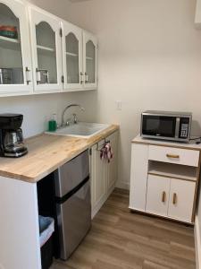 a kitchen with a sink and a microwave at Country studio pet friendly in Port Alberni