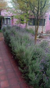 Gallery image of Architerra in San Javier