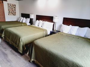 Postel nebo postele na pokoji v ubytování Dunes Motel - Bend
