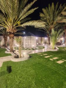a courtyard with palm trees and lights at night at شاليه ومنتجع النخيل الريفي in Taif