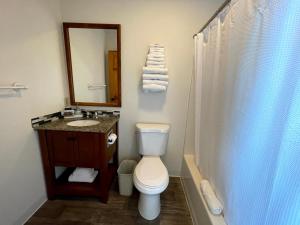 a bathroom with a toilet and a sink and a mirror at Hanging Horn Lakeside Resort in Moose Lake