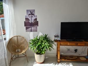 ein Wohnzimmer mit einem TV, einem Stuhl und einer Pflanze in der Unterkunft Itacoatiara - Apartamento com café da manhã ao lado da praia in Niterói