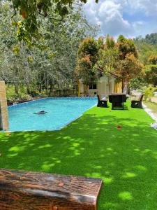 einen Hof mit einem Pool mit grünem Gras in der Unterkunft TERATAK AL QARNI in Jitra