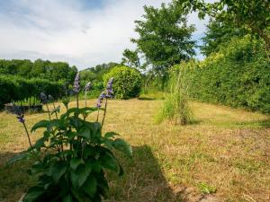 Zahrada ubytování 4 person holiday home in Rudkøbing-By Traum