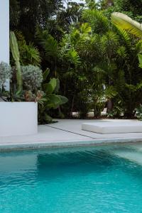 una piscina con agua azul y plantas verdes en Sky House Santa Teresa - Adults only, en Santa Teresa Beach