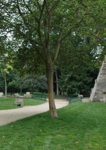 a tree in the grass next to a path at La suite Monceau in Paris