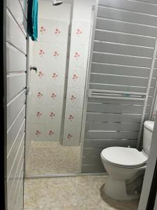 a bathroom with a toilet and a shower at hostal la niña carmen in Cartagena de Indias