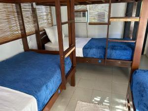 two bunk beds in a room with blue sheets at My Hostel Boracay in Boracay