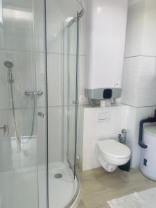 La salle de bains blanche est pourvue d'une douche et de toilettes. dans l'établissement Szemesi Apartman, à Balatonszemes