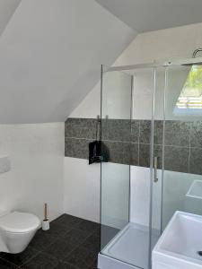een badkamer met een glazen douche en een toilet bij AMBER Dębki in Dębki