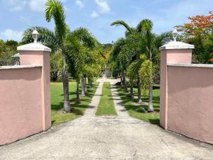 a driveway with palm trees and a pink fence at Mandevilla Nevis in Cliftons