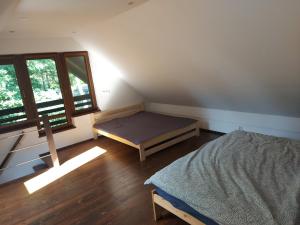 a bedroom with two beds and a window at Szewnia Dolna in Szewnia