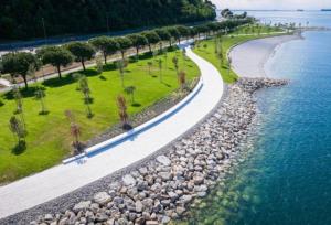 a road next to a beach with trees and the water at Apartmaji Pregelj in Koper