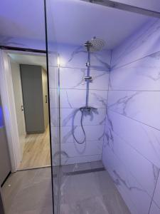y baño con ducha con pared de cristal. en The Nice Apartment, en Domžale