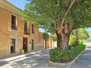 un árbol al lado de una calle al lado de un edificio en Casa Rodriguillo, en El Pinós (Pinoso)