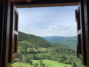 una vista da una finestra di un campo di alberi di Casa Enriu-Alojamiento y desayuno a Vilaller