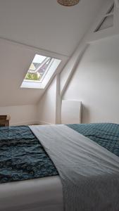 a bedroom with a large bed with a skylight at Maison Les 3 oies in Le Crotoy