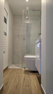 a bathroom with a shower and a tub and a toilet at Maison Les 3 oies in Le Crotoy