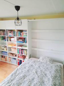 een slaapkamer met een bed en een boekenplank met boeken bij Oslo: Quiet and cosy home with garden and free parking in Grorud