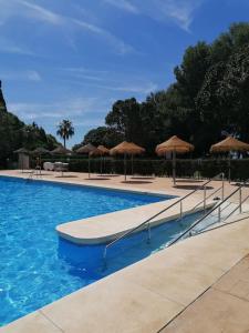 Piscina en o cerca de Coqueto estudio con vistas a 800 de la playa