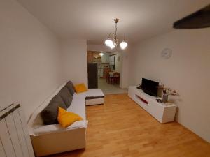 a living room with a couch and a tv at Apartment Nevenka in Pobegi