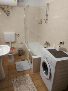 a bathroom with a washing machine and a toilet at Apartment Nevenka in Pobegi +9 photos