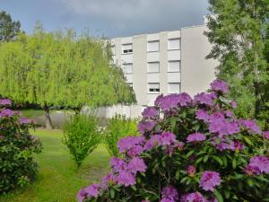Κήπος έξω από το Hôtel Vulcain