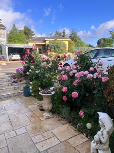 Gallery image of שלווה בהר in Malkiyya +9 photos