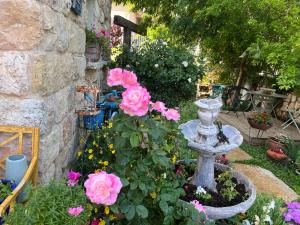 a flower garden with a fountain and pink roses at שלווה בהר in Malkiyya