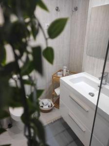 a bathroom with a sink and a toilet and a plant at Apartamento Costa de Madrid in Madrid
