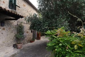 an alley in an old stone building with plants at Il Fico di Cortona in Cortona