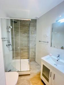 a bathroom with a shower and a sink at Apartment in the Center of Madrid in Madrid