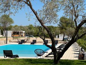 a pool with chairs and a tree next to it at Villa Twins 16 - Pakoštane in Pakoštane